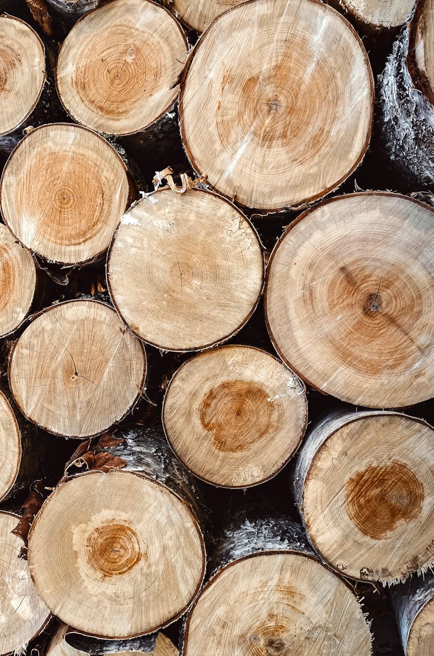 pile of logs